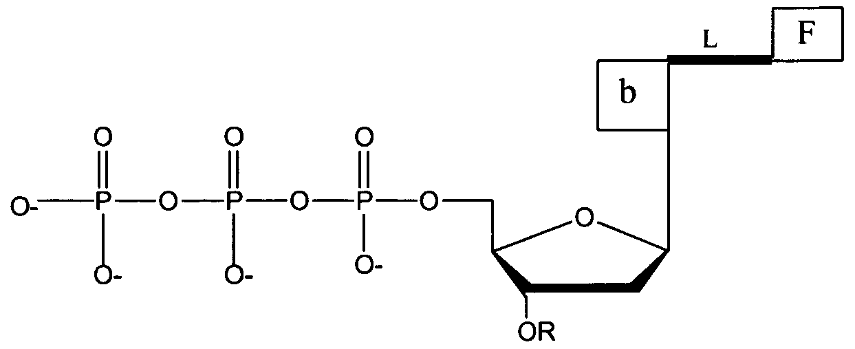 Figure imgf000146_0001