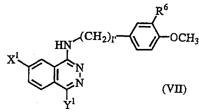 Figure imgf000008_0001