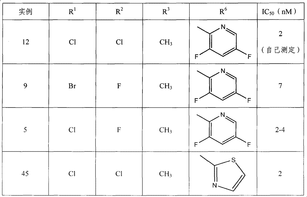 Figure G2009102612069D00021
