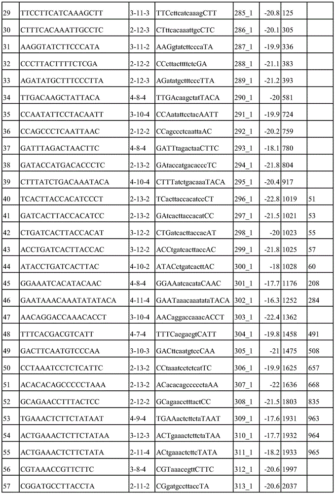 Figure BDA0003936212750000651