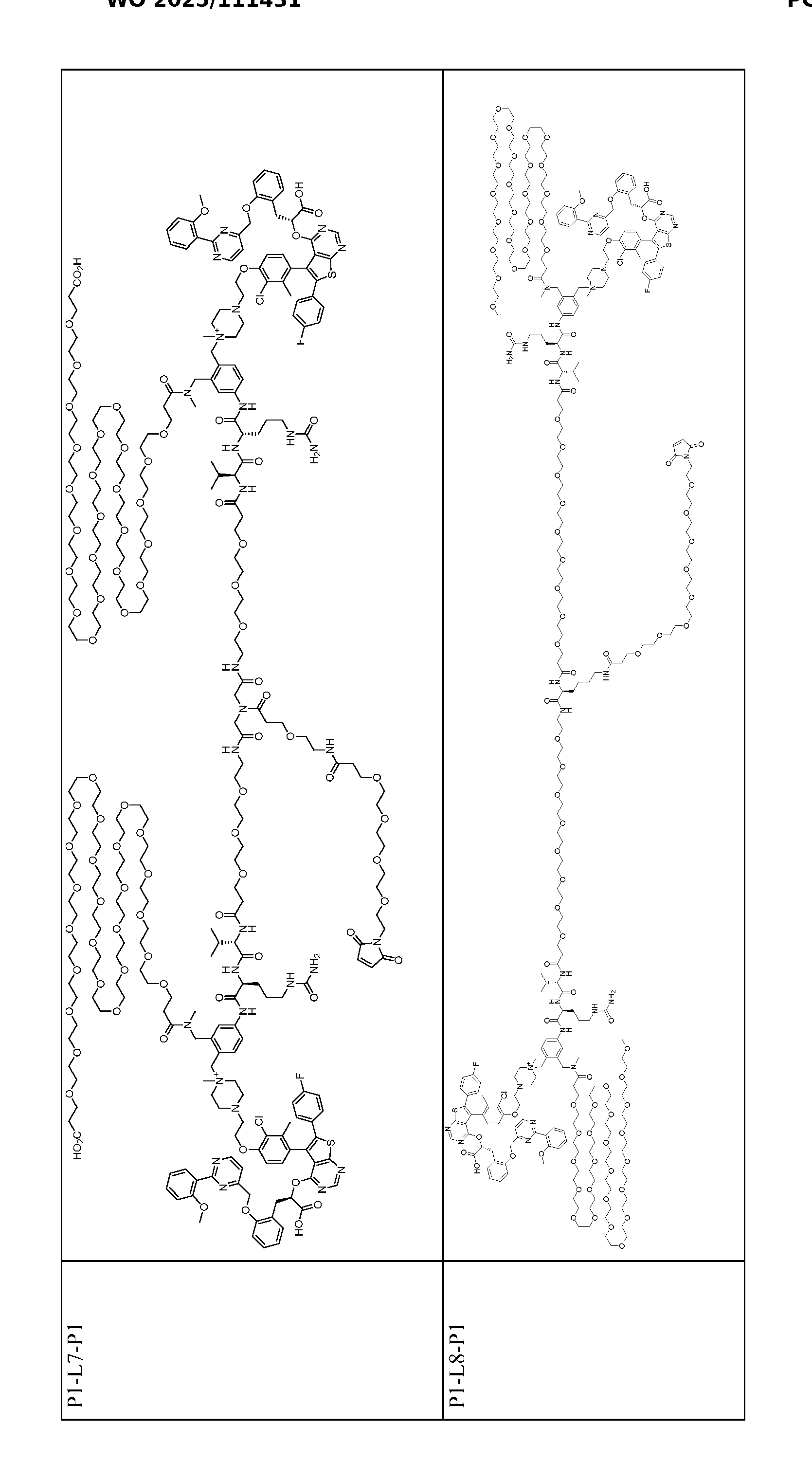 Figure imgf000136_0001