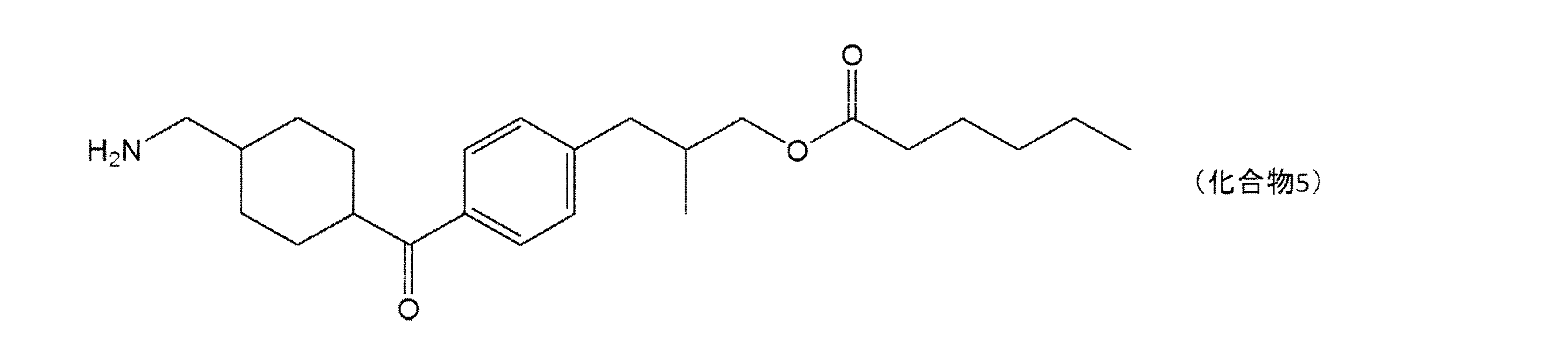 Figure 0007102658000014