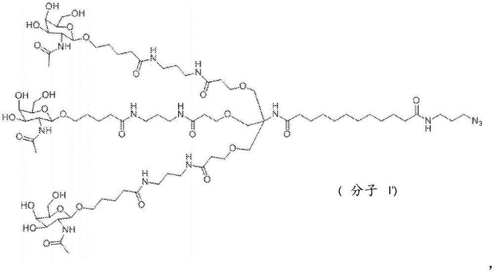 Figure FDA0004086040560000152