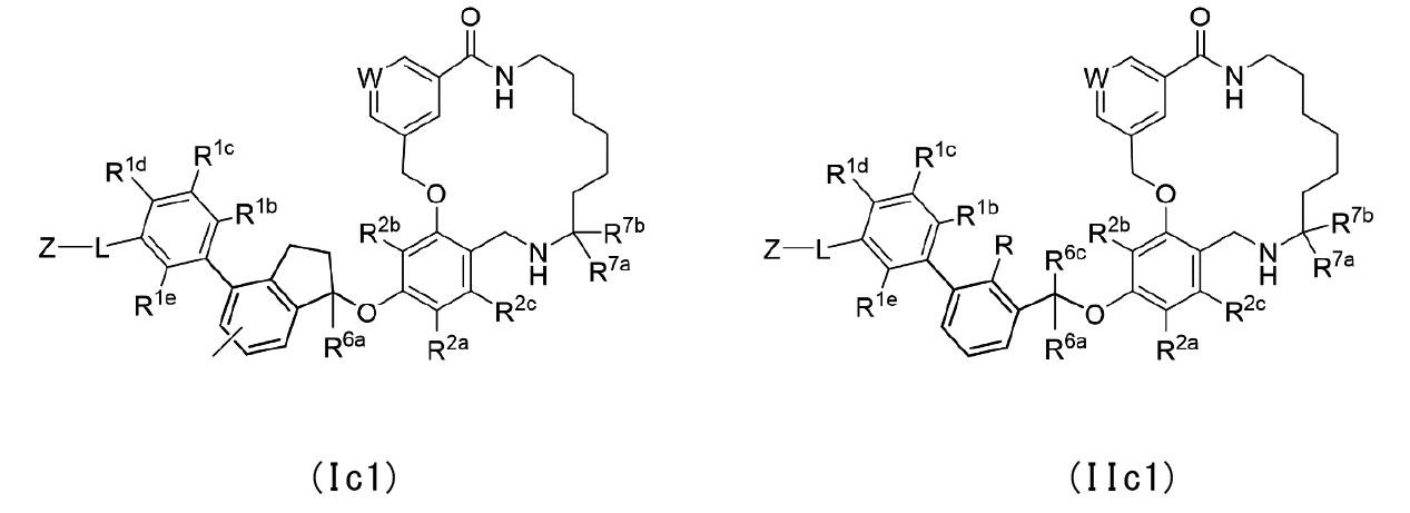 Figure 0007198269000048