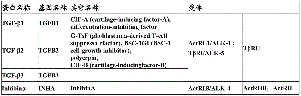 Figure BDA0003809130440000031