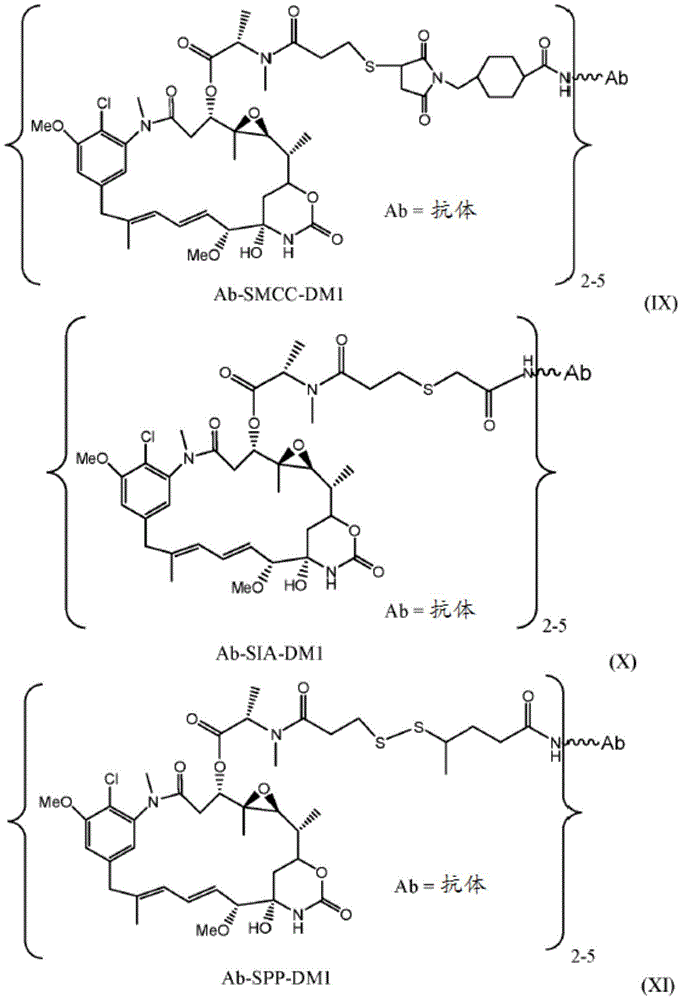 Figure GDA0001678586660000451