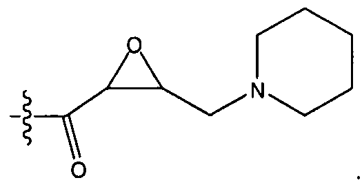 Figure imgf000013_0006