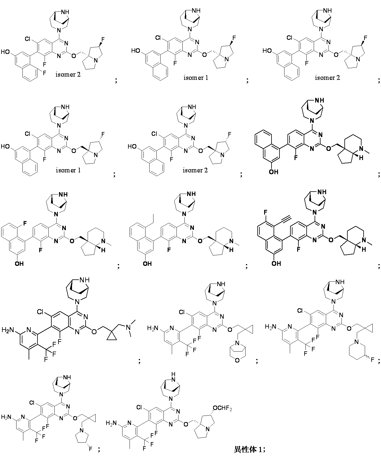 Figure 2024510207000076
