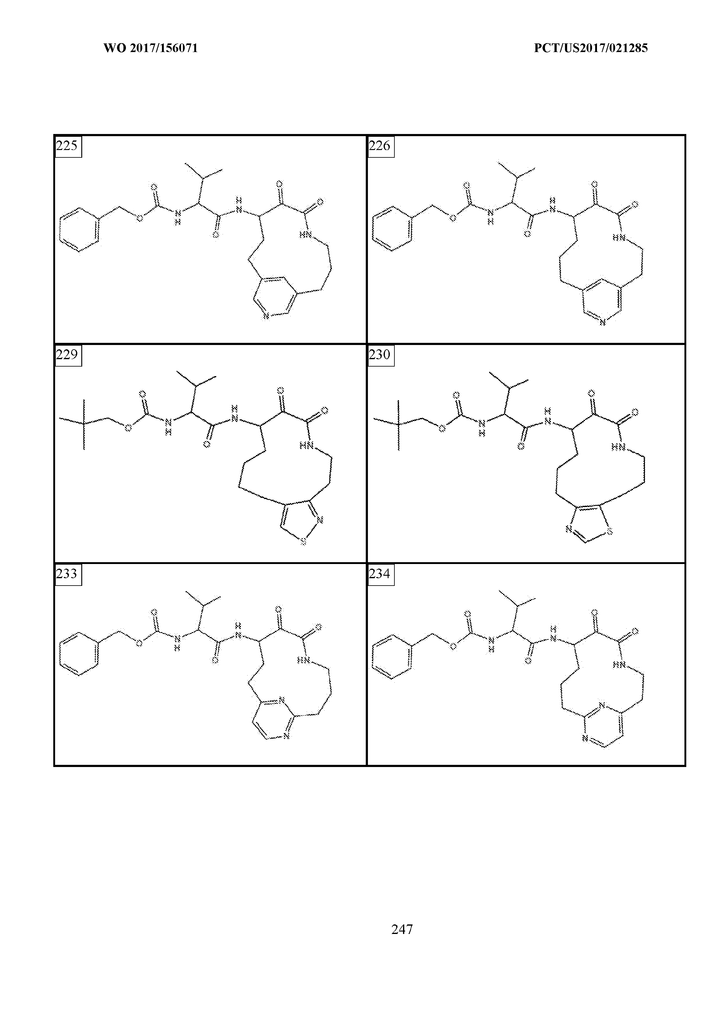 Figure imgf000248_0001