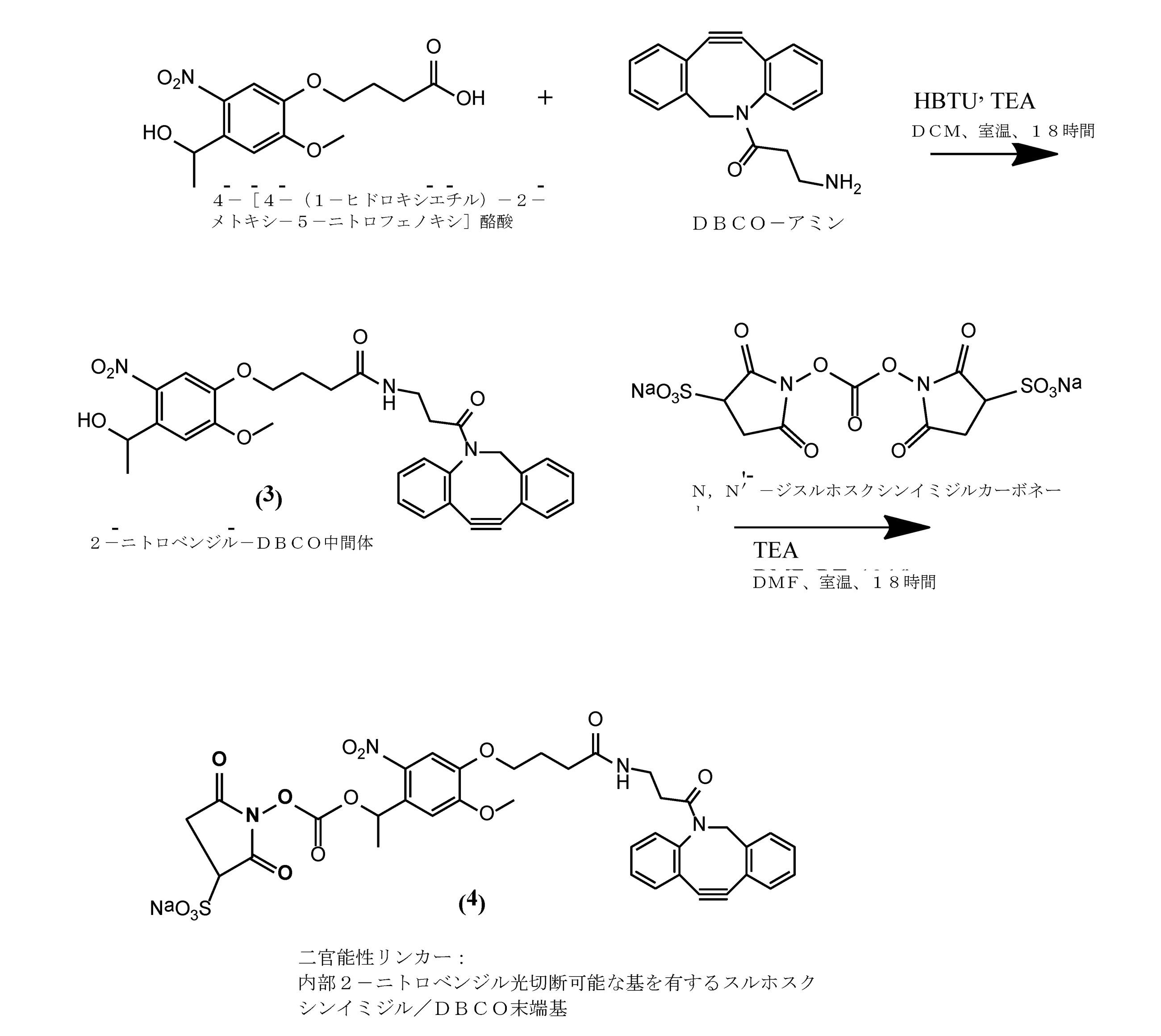 Figure 2022058772000005