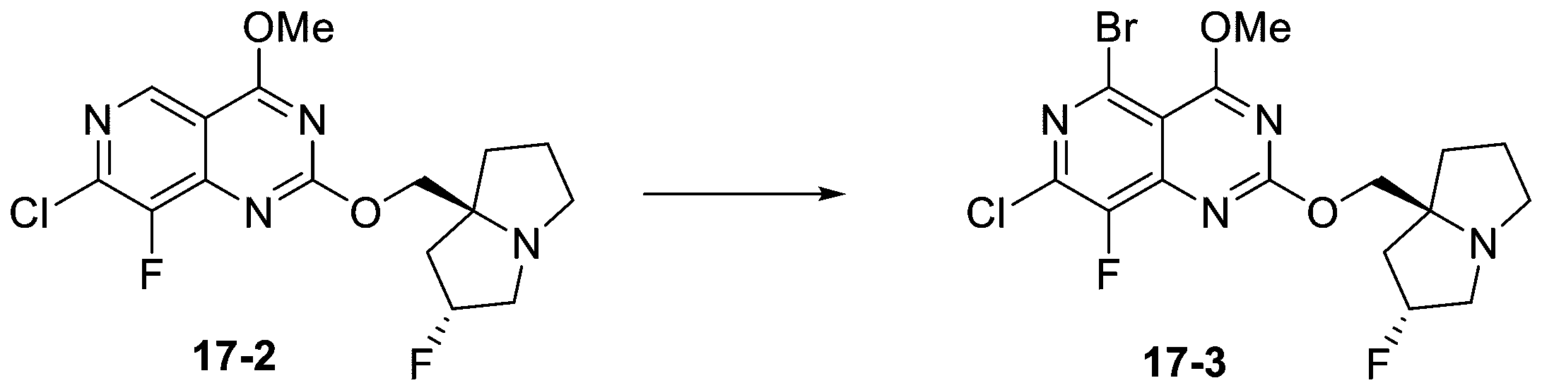 Figure 2025513258000169