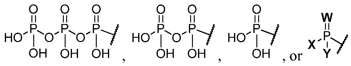 Figure imgf000029_0001