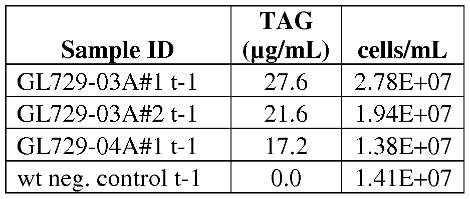 Figure imgf000071_0001