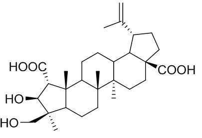 Figure 112021044194706-pat00004