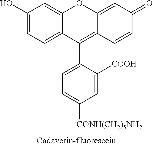 Figure US20130189287A1-20130725-C00024