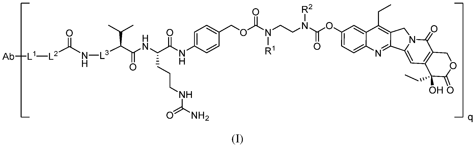 Figure imgf000005_0001