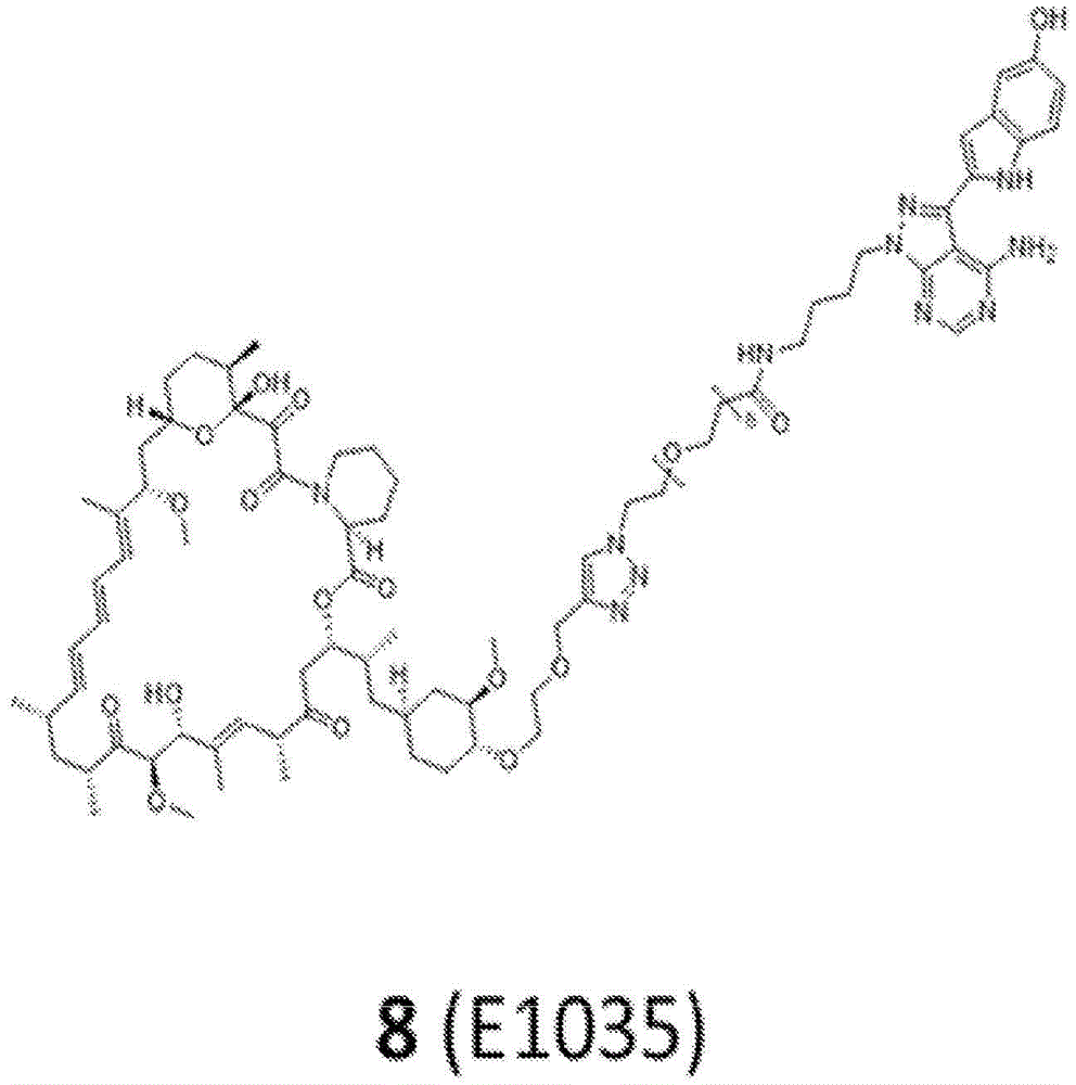 Figure BDA0001275843840002251