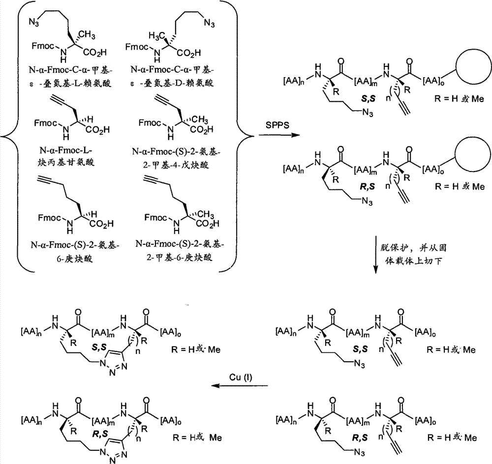 Figure BPA00001545839400381