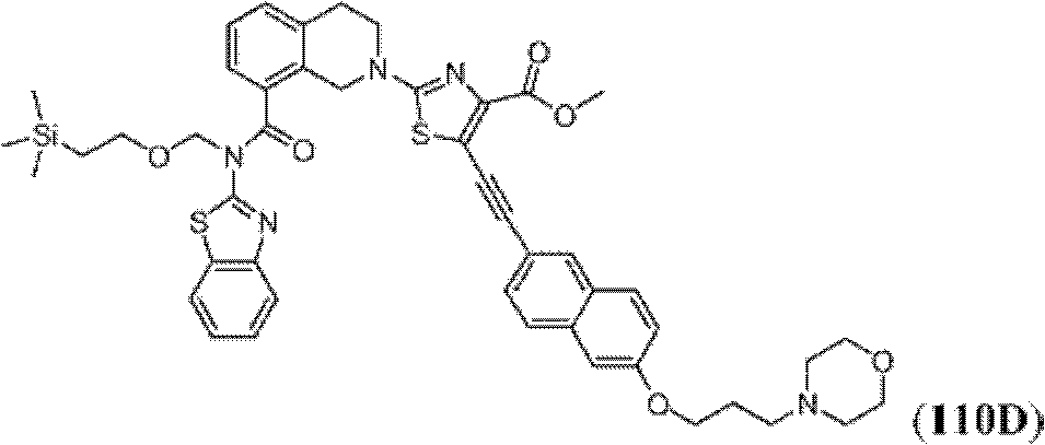 Figure BDA0000083236130002882