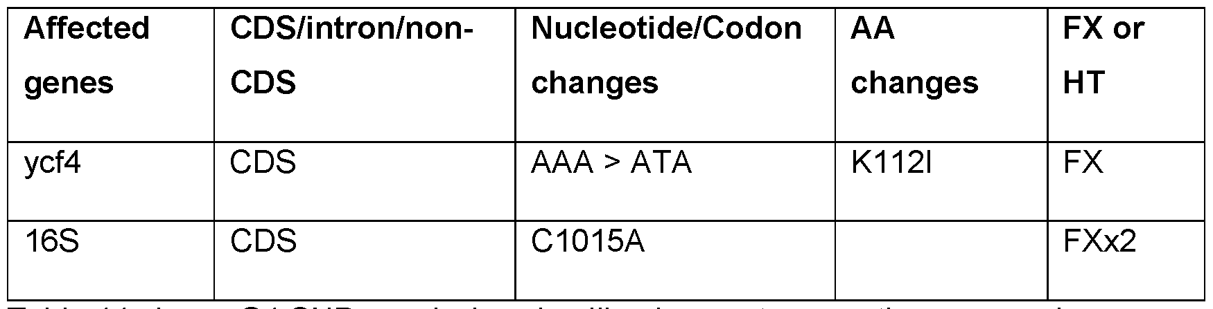 Figure imgf000104_0001