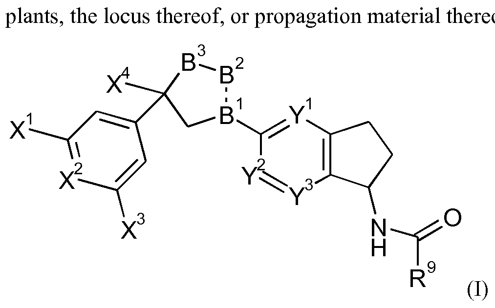 Figure imgf000003_0001