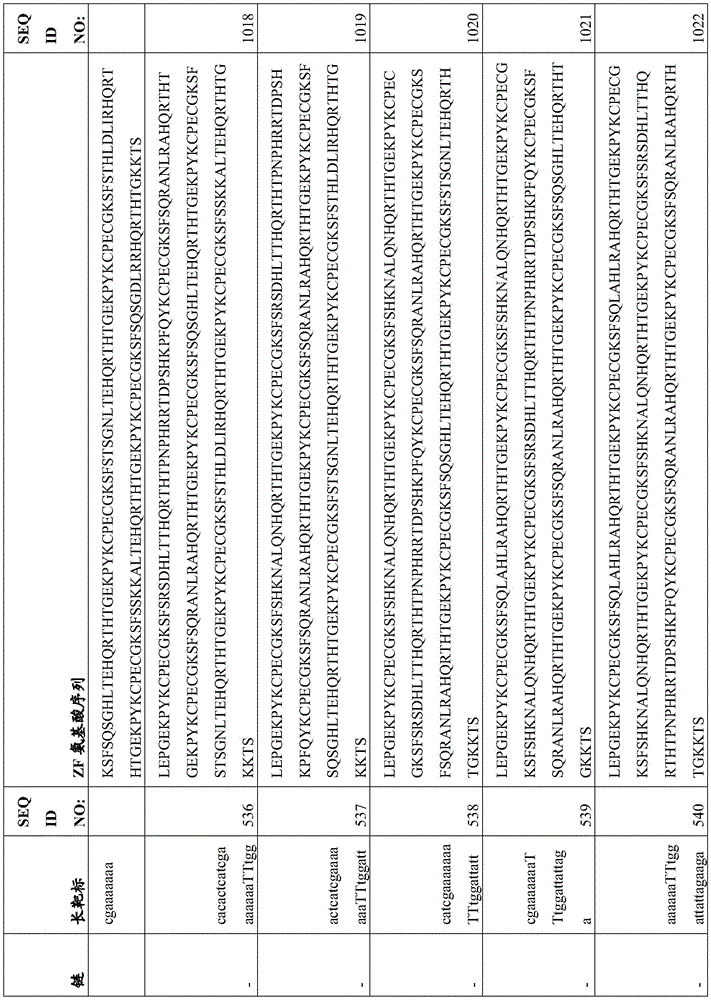 Figure BDA0003935065550001081