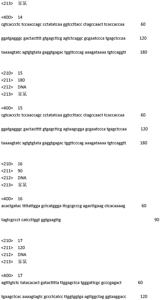 Figure IDA0001996332130000051