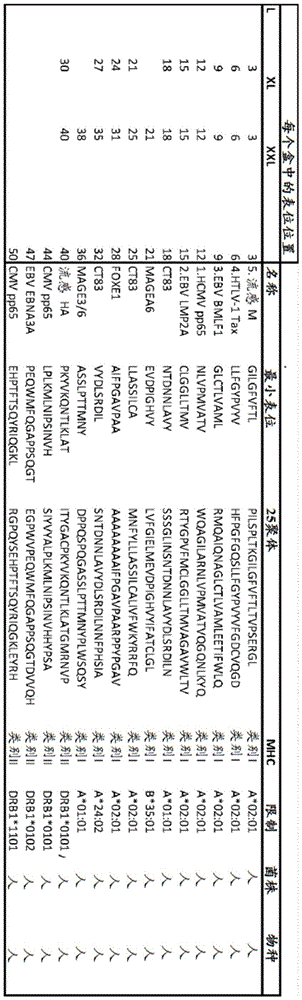 Figure BDA0002872168850001101