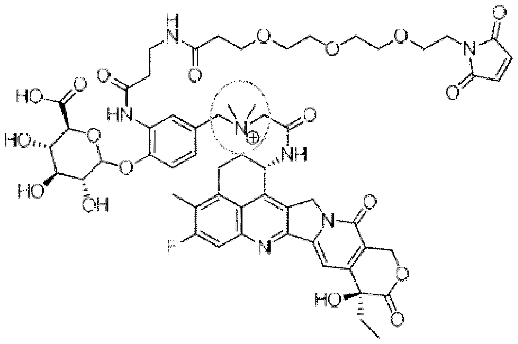 Figure imgf000096_0001