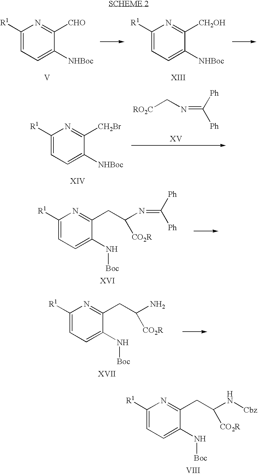 Figure US07314882-20080101-C00008