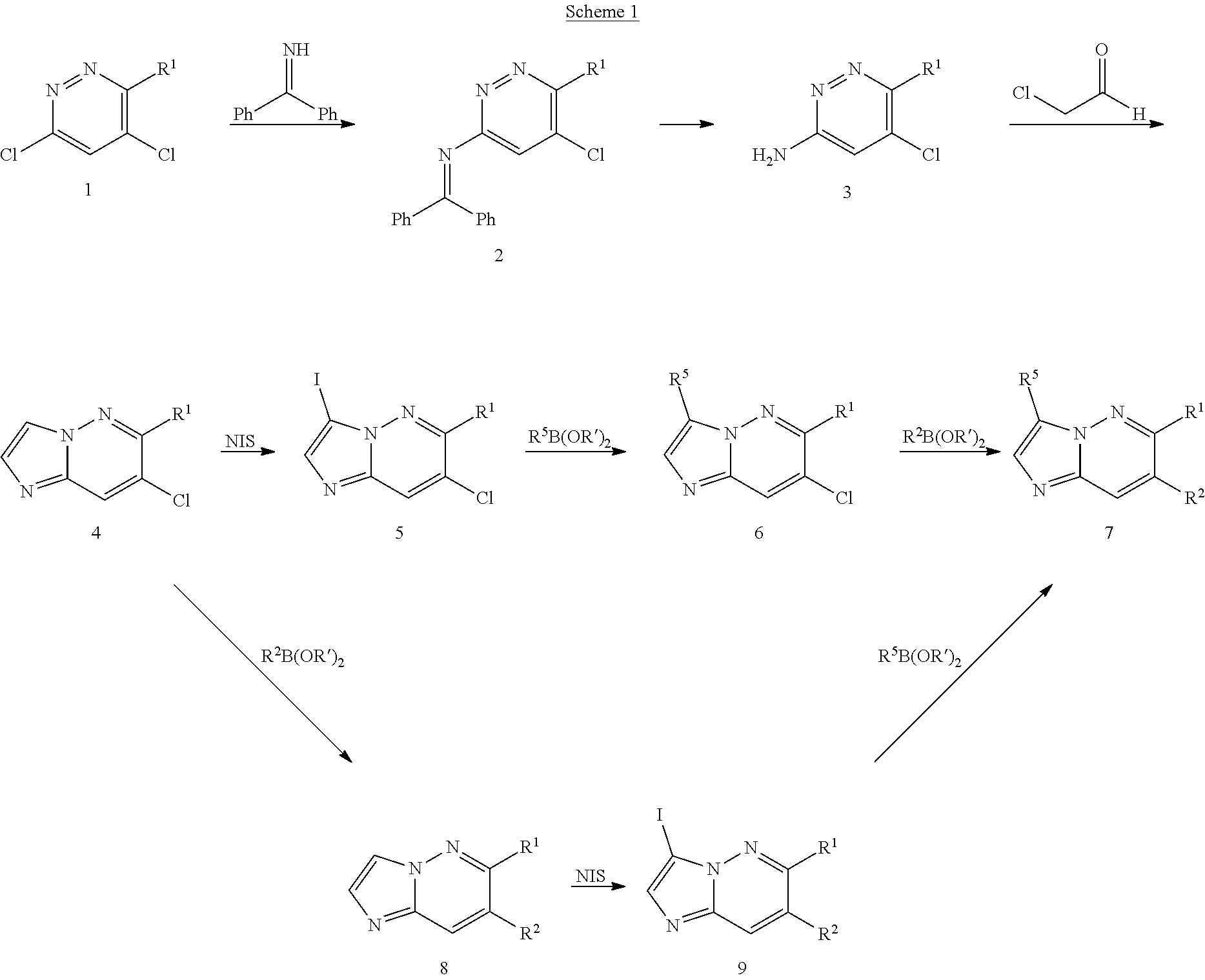 Figure US20240309008A1-20240919-C00015