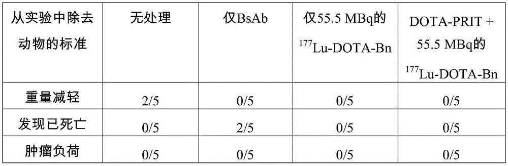 Figure BDA0002763179510001132