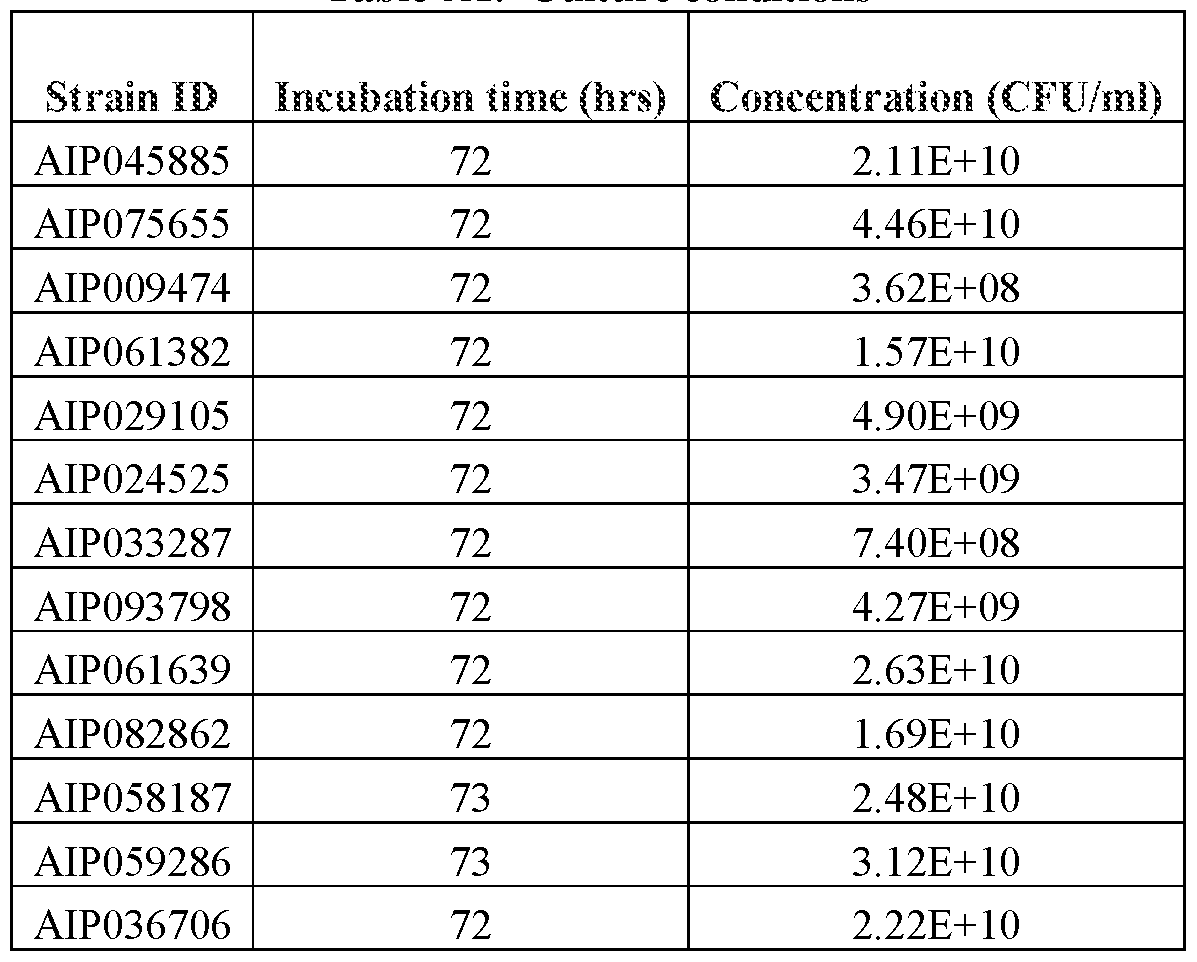 Figure imgf000062_0002