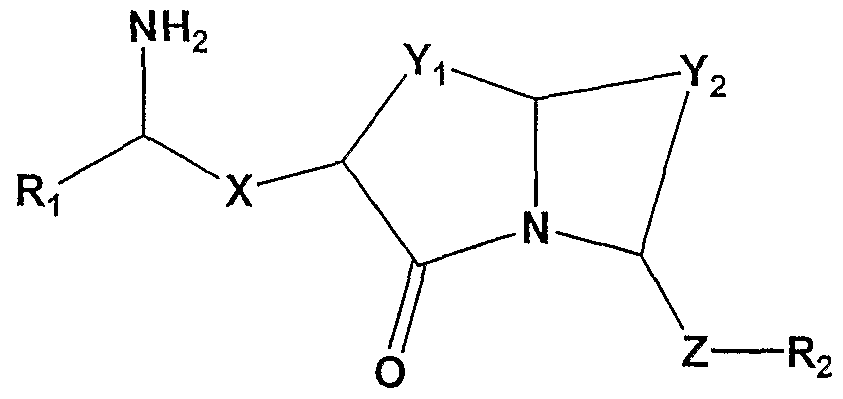 Figure imgf000009_0001