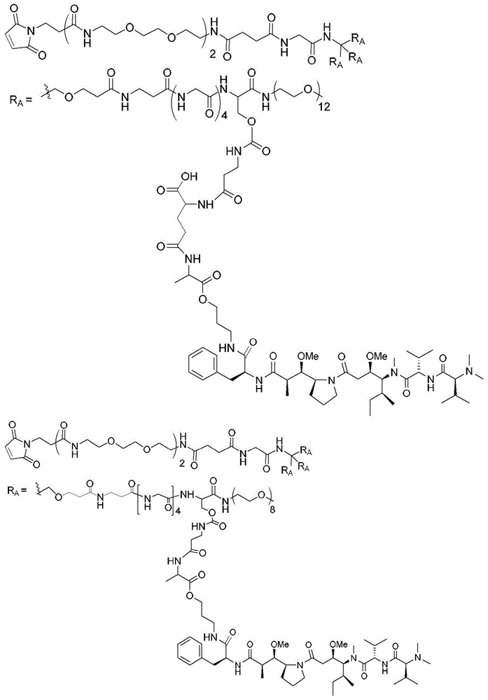 Figure BDA0003135424430001771