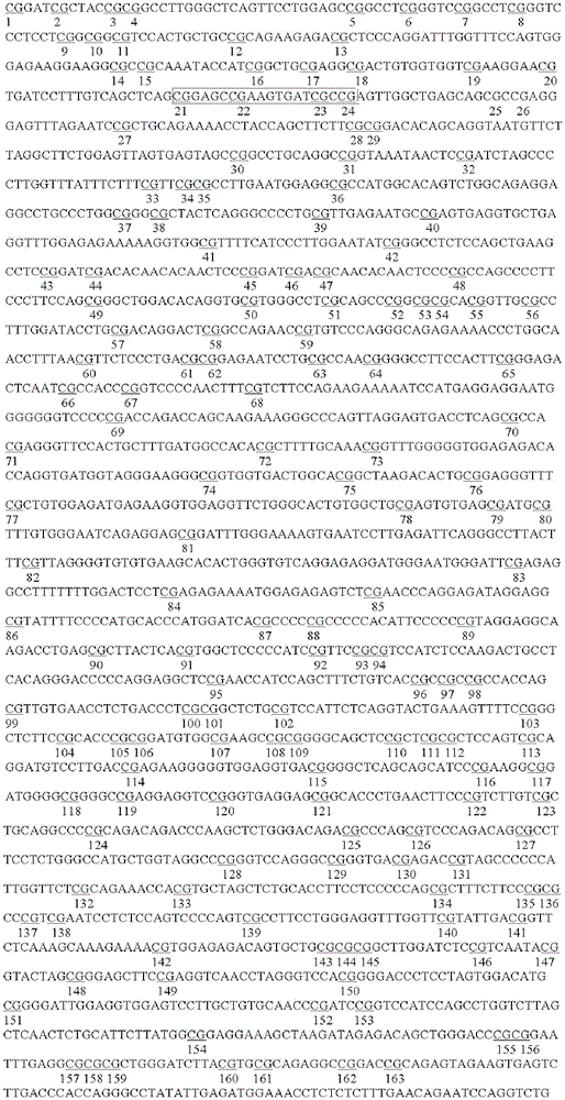 Figure GDA0003601660750000101