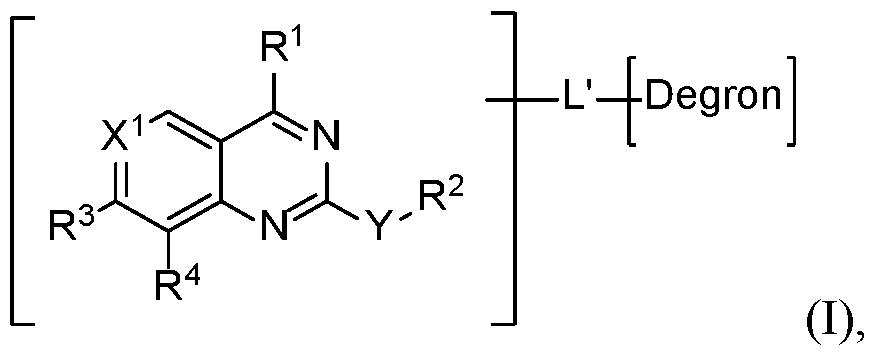 Figure imgf000002_0001