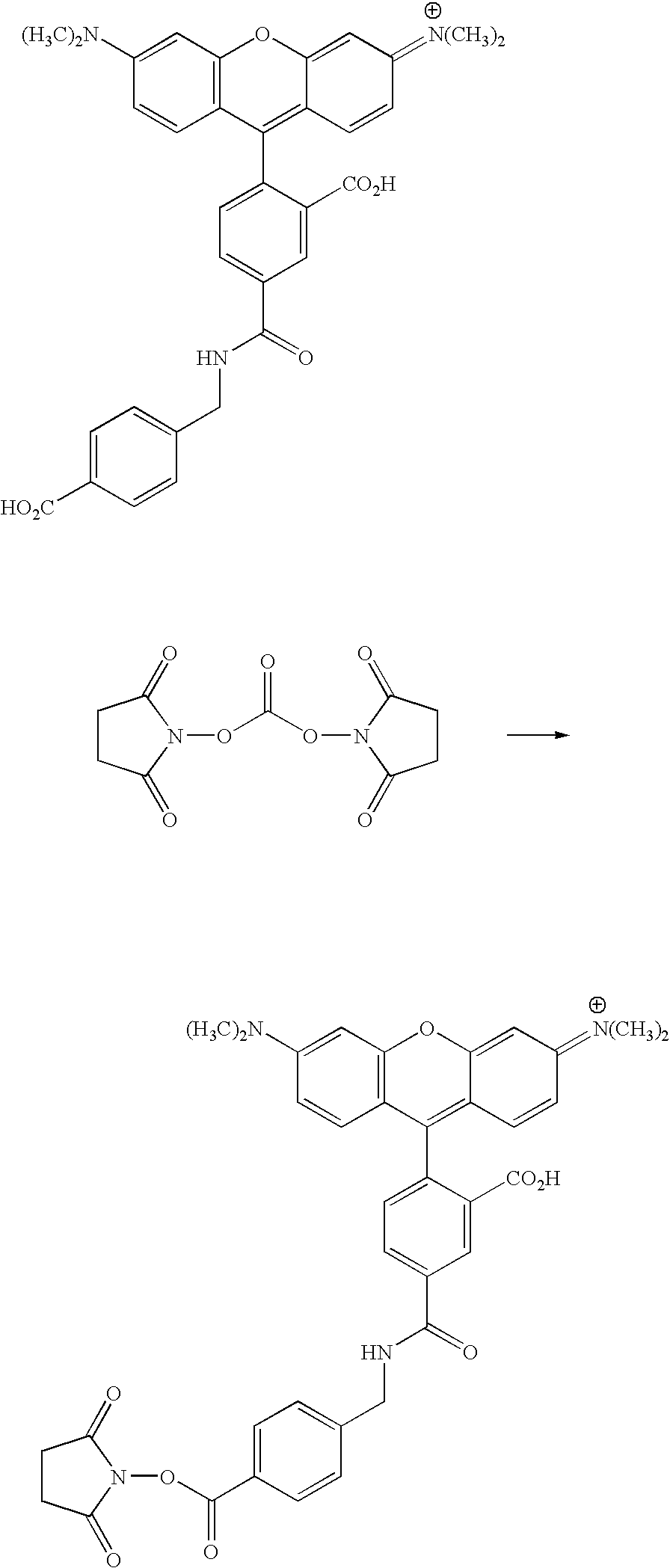 Figure US20070154927A1-20070705-C00108