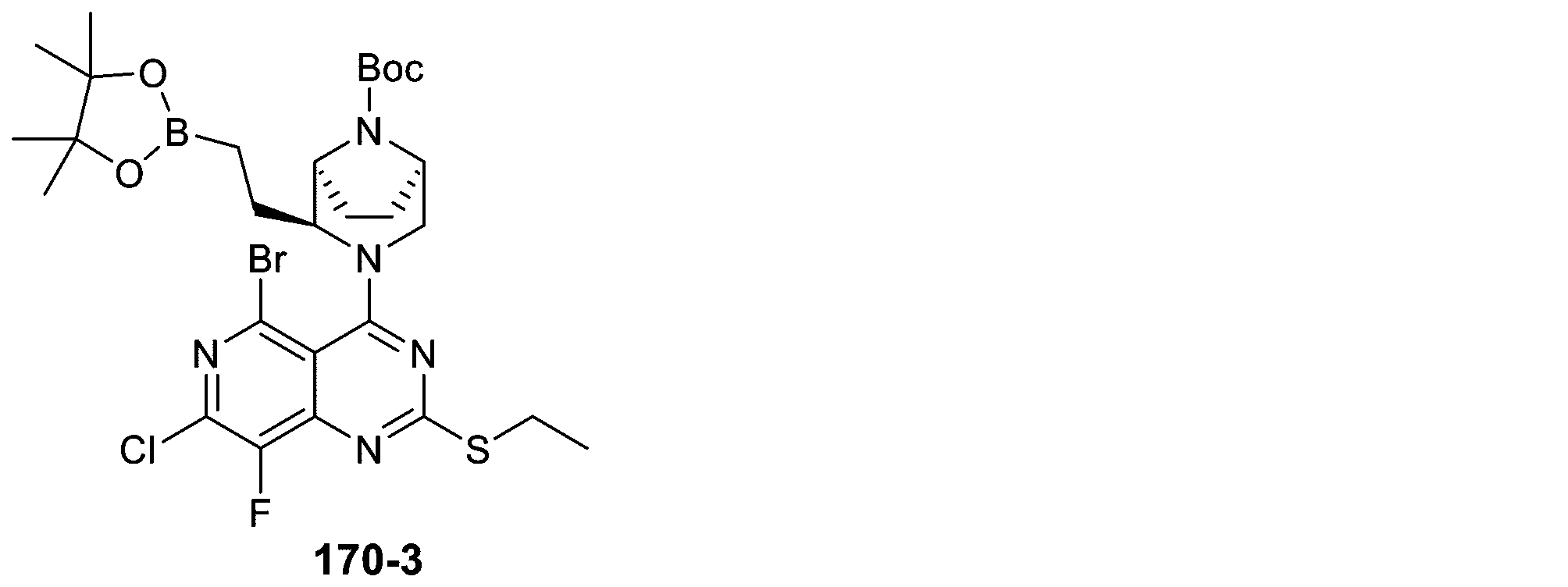 Figure 2025513258000538