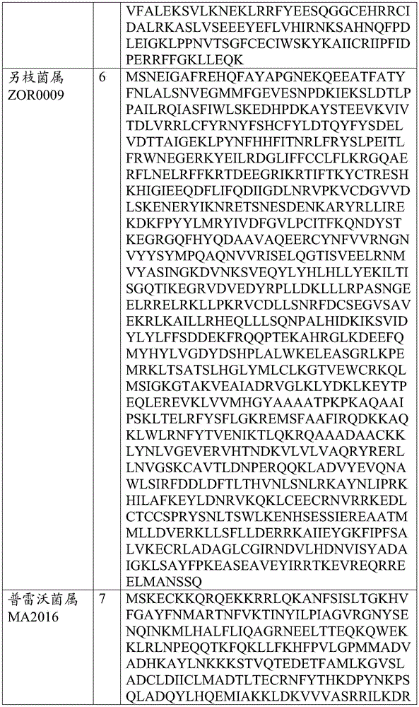 Figure BDA0002313867470002761