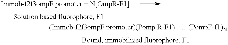 Figure US06808874-20041026-C00012
