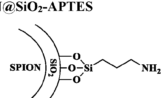 Figure imgf000104_0001