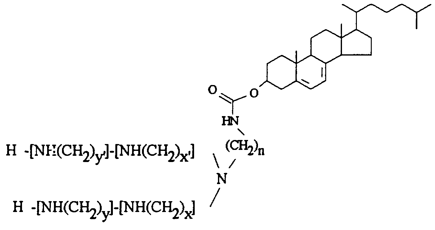 Figure imgf000116_0001