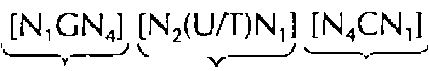 Figure imgf000103_0002