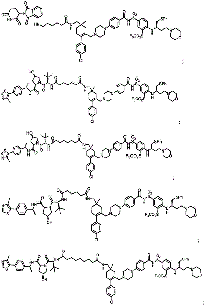 Figure BDA0003293294510000271