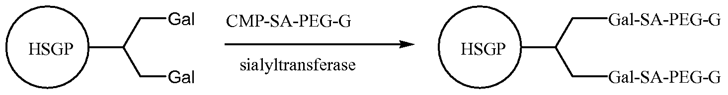 Figure imgf000147_0004