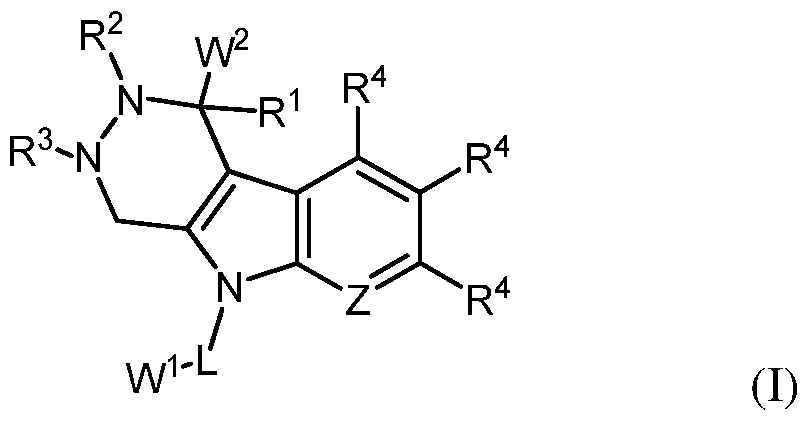 Figure imgf000045_0001