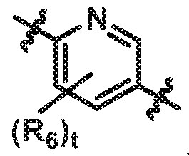 Figure imgf000019_0005