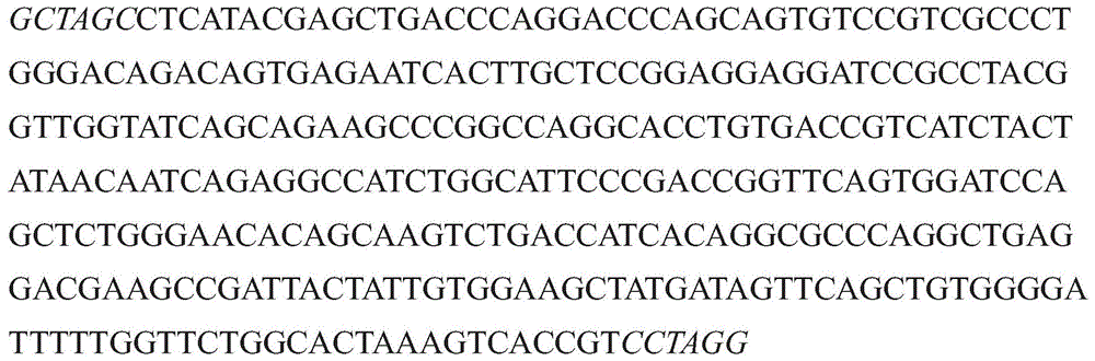 Figure GDA0003152722340000901