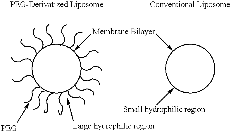Figure US06270806-20010807-C00001